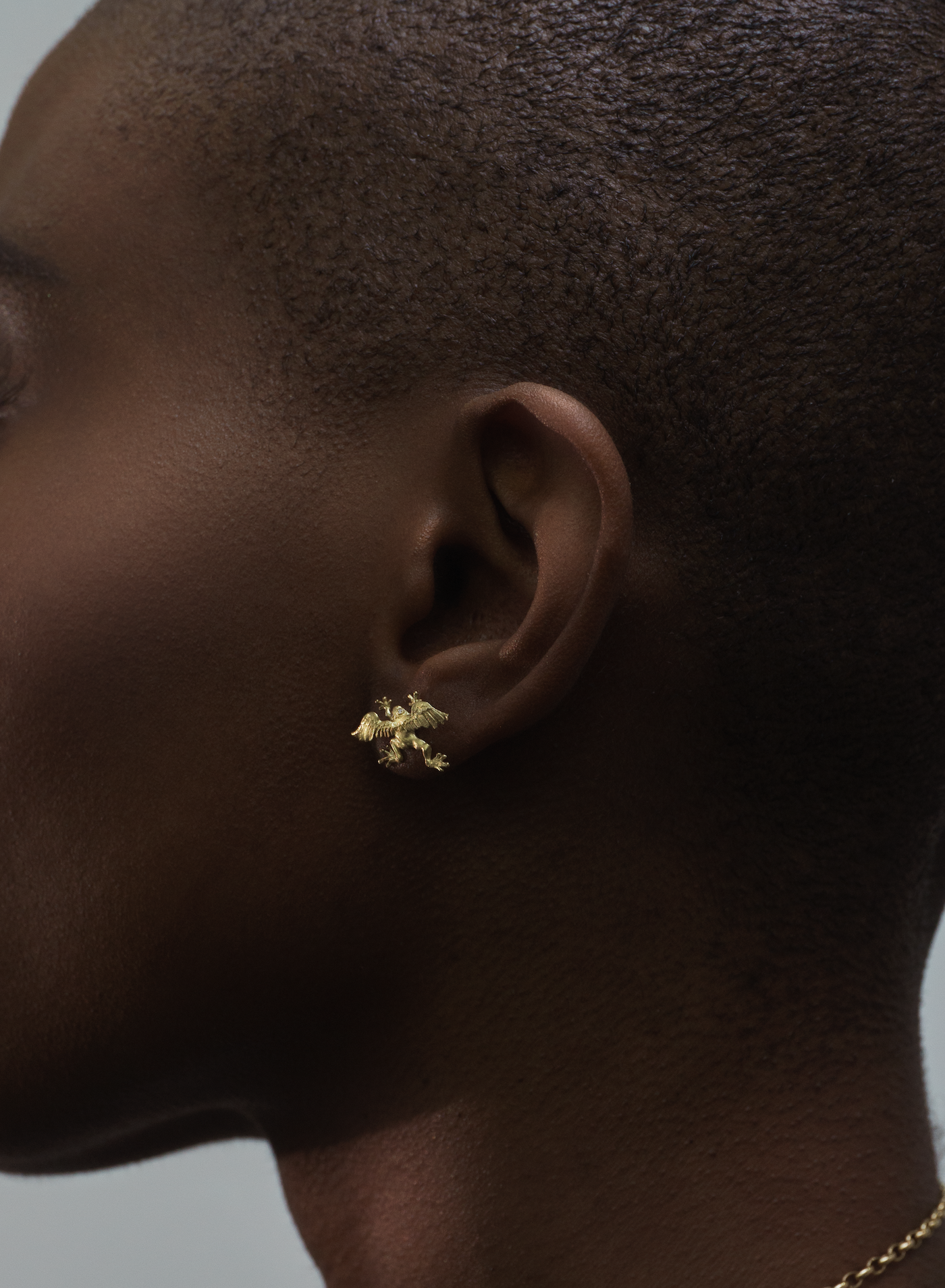 Butterfly Stud Earrings - Rhinestone Frog Snake Animal Designs For Women & Teens